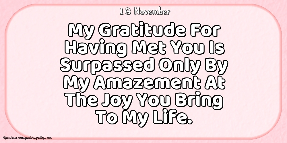 16 November - My Gratitude For Having Met You