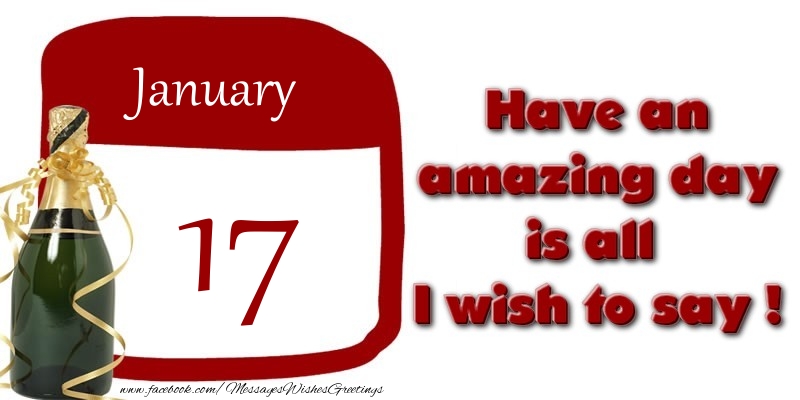 January 17 Have an amazing day is all I wish to say !