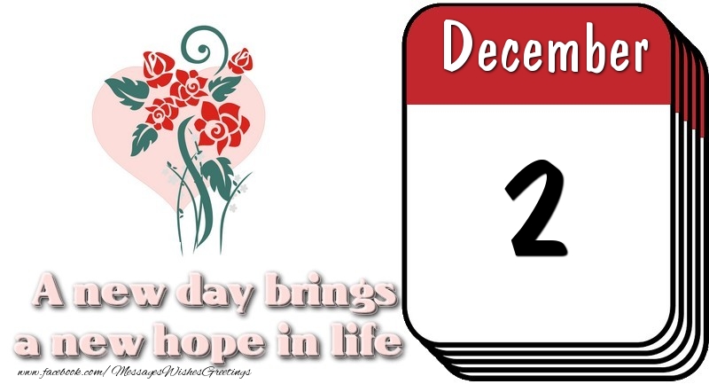 Greetings Cards of 2 December - December 2 A new day brings a new hope in life