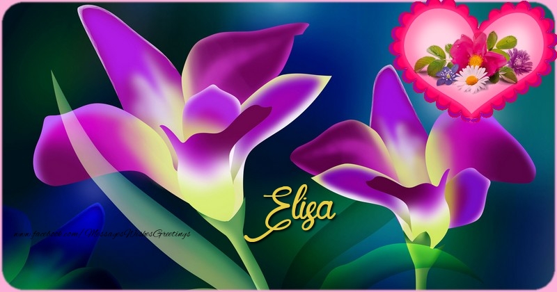 Greetings Cards for Birthday - Bouquet Of Flowers & Gift Box | Happy Birthday Elisa