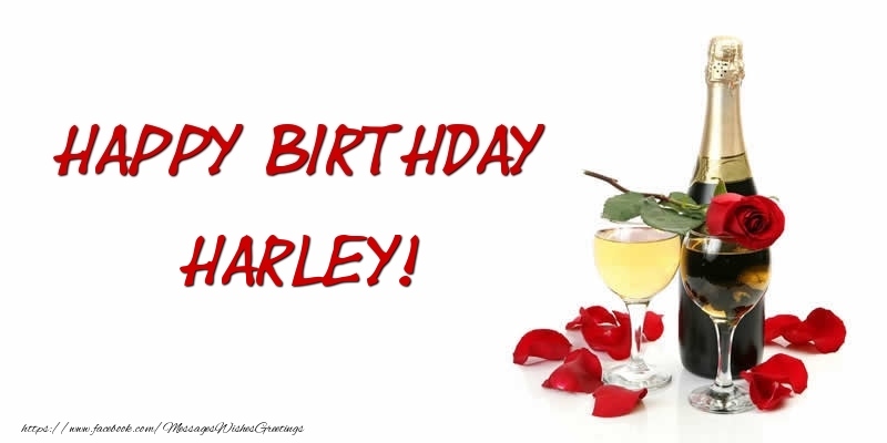 Greetings Cards for Birthday - Champagne | Happy Birthday Harley