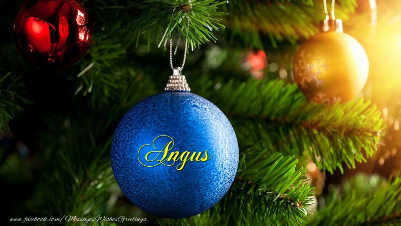 Greetings Cards for Christmas - Angus