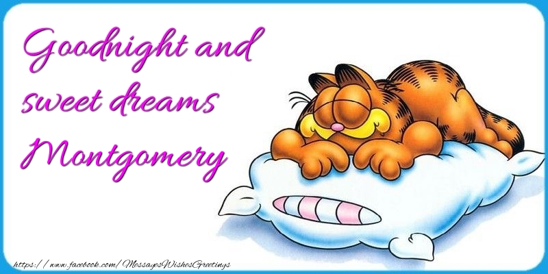 Greetings Cards for Good night - Animation | Goodnight and sweet dreams Montgomery