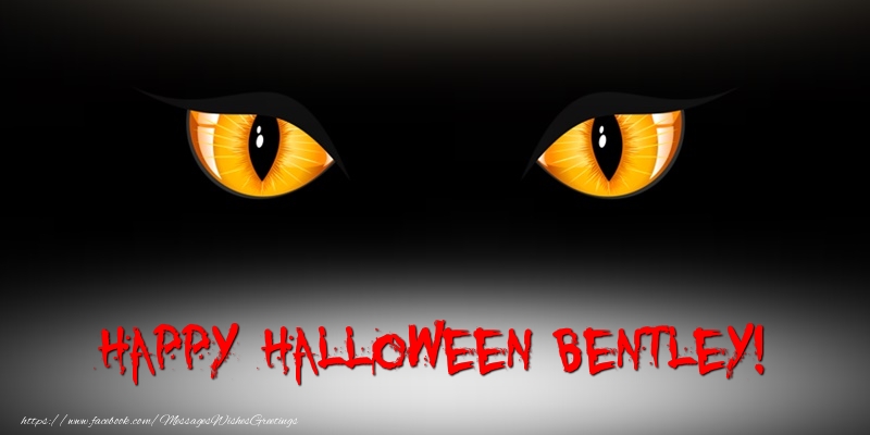 Greetings Cards for Halloween - Happy Halloween Bentley!
