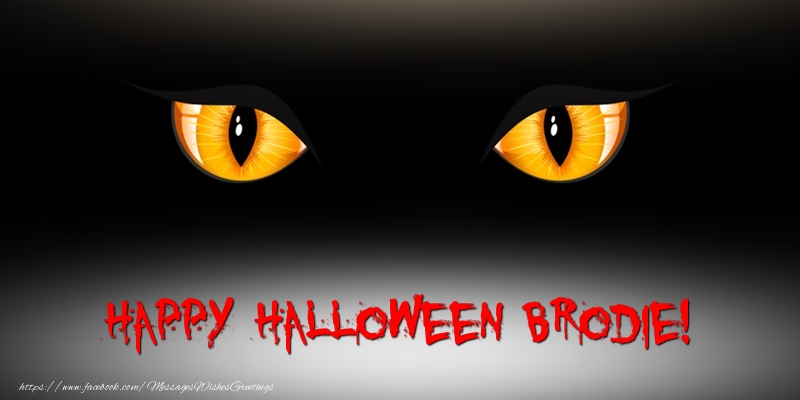 Greetings Cards for Halloween - Happy Halloween Brodie!