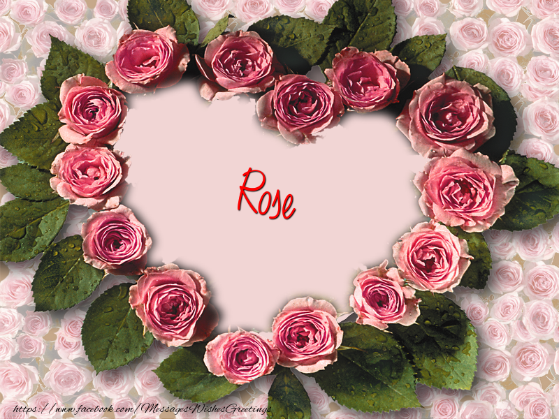 Greetings Cards for Love - Rose
