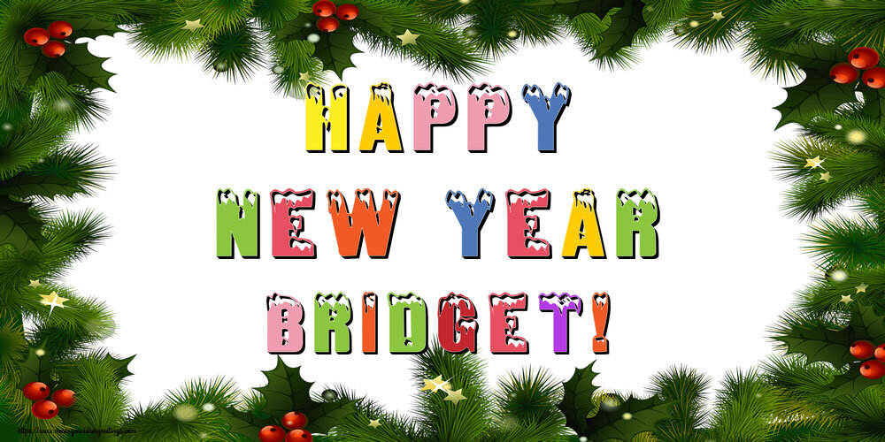 Greetings Cards for New Year - Christmas Decoration | Happy New Year Bridget!