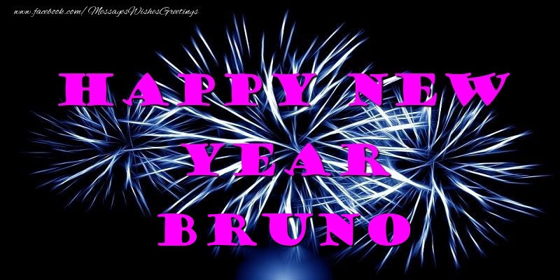 Greetings Cards for New Year - Fireworks | Happy New Year Bruno